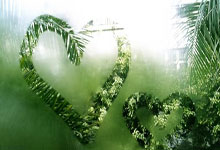 球队内部轮换引发球员自由竞争的故事