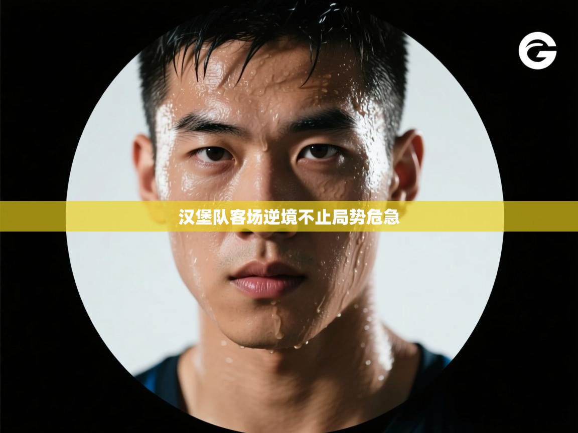 汉堡队客场逆境不止局势危急  第1张